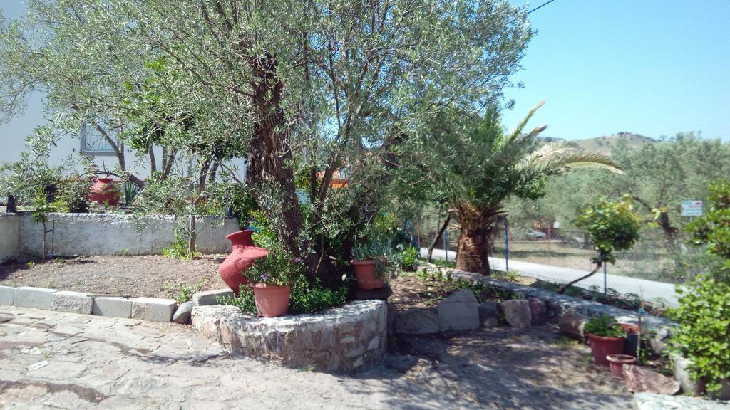 Anessis Cosmos Aparthotel Anaxos Exterior photo