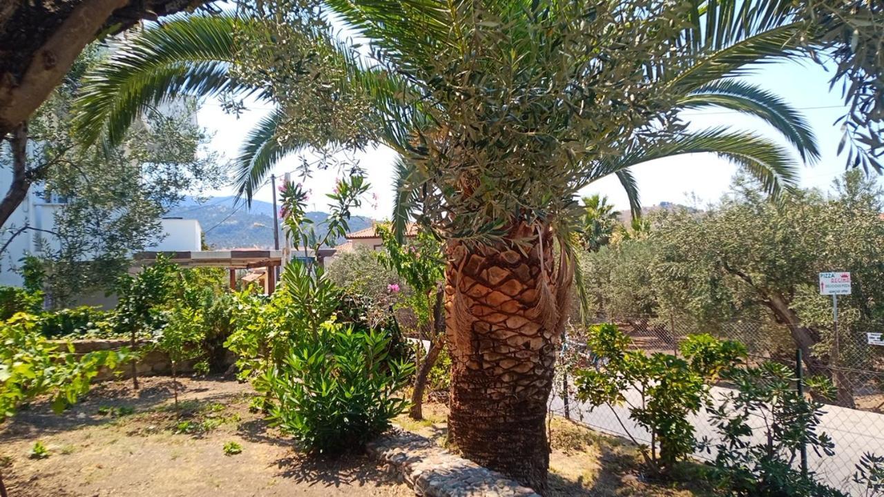 Anessis Cosmos Aparthotel Anaxos Exterior photo